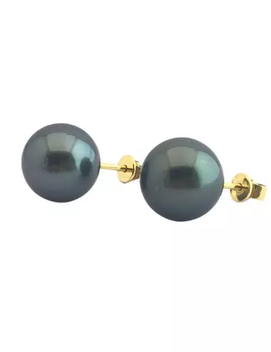 Geltono aukso auskarai su jūriniais juodais perlais (Taičio, 9 mm)