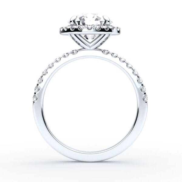 Modernus sužadėtuvių žiedas su deimantu ir halo juostele iš balto aukso arba platinos - round cut briliantas