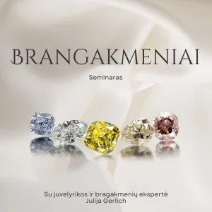 Seminaras – Brangakmeniai. Safyras. Rubinas. Smaragdas. Nuo ko priklauso brangakmenio kaina?