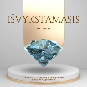 Seminaras – Pagal Jūsų pageidavimus (išvykstamasis)