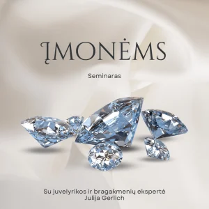 Seminaras – Įmonėms apie brangakmenius